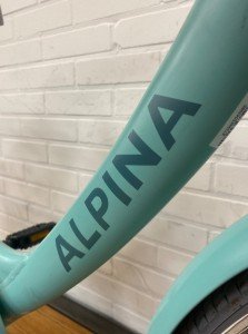 Alpina Clubb Meisjes Soft Mint Matt 34cm 2021