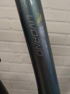 Stella Livorno Dames Gold 53cm 2024