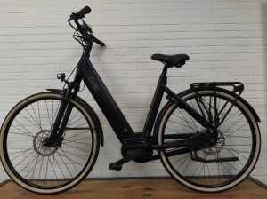 Qwic Premium I MN7+ Mat Zwart 54cm 2023