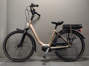 Stella Livorno Dames Goud 49cm 2020